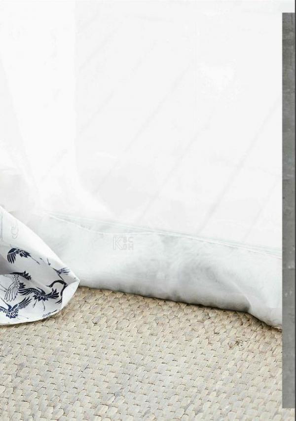 Riziist-Magazine-Issue-03-–-PALM-amp-TOR