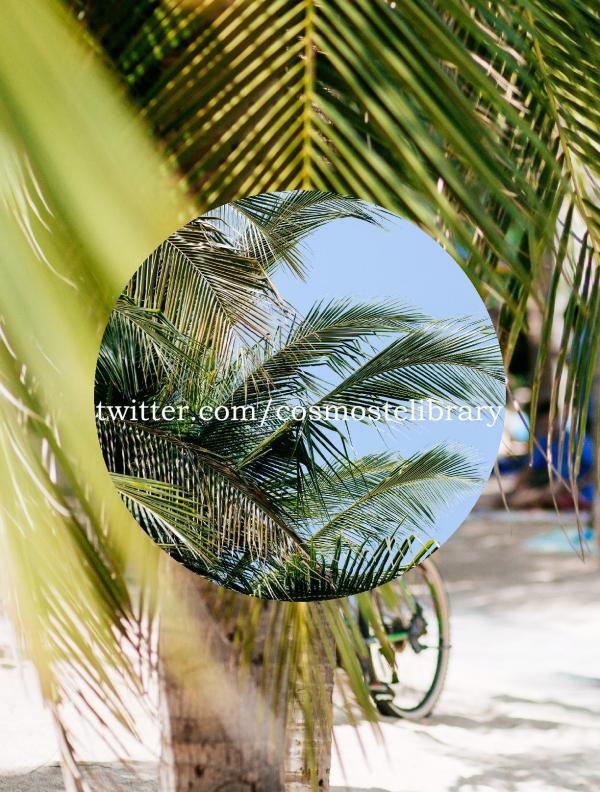 Saturday-02--Pon-On-The-Beach