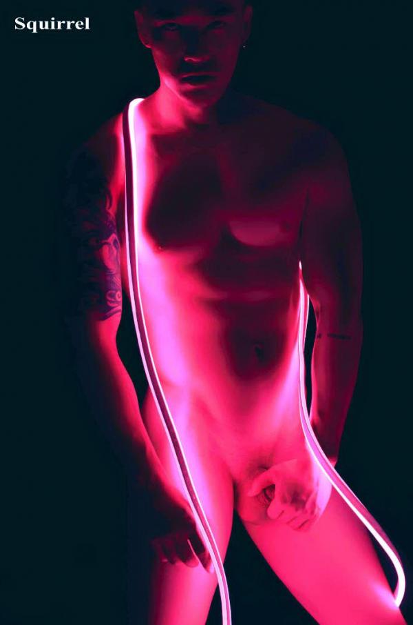 Squirrel-No.1--Baiwan