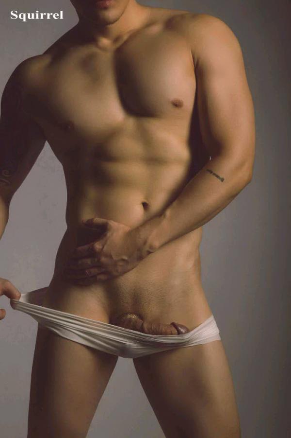 Squirrel-No.1--Baiwan