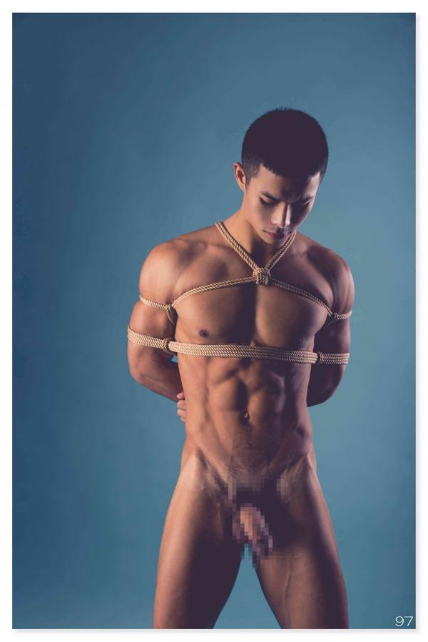 Squirrel-No.2--Young