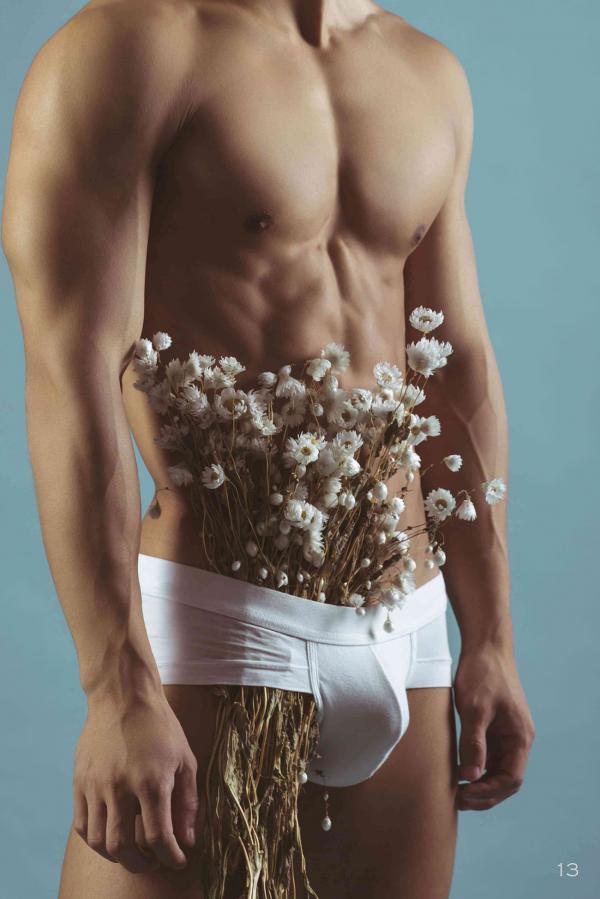 Squirrel-No.2--Young