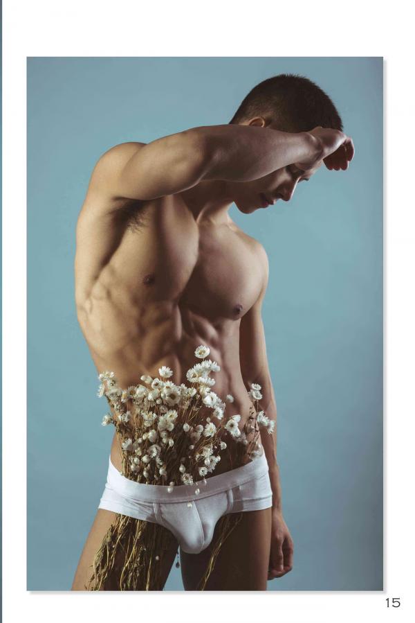 Squirrel-No.2--Young