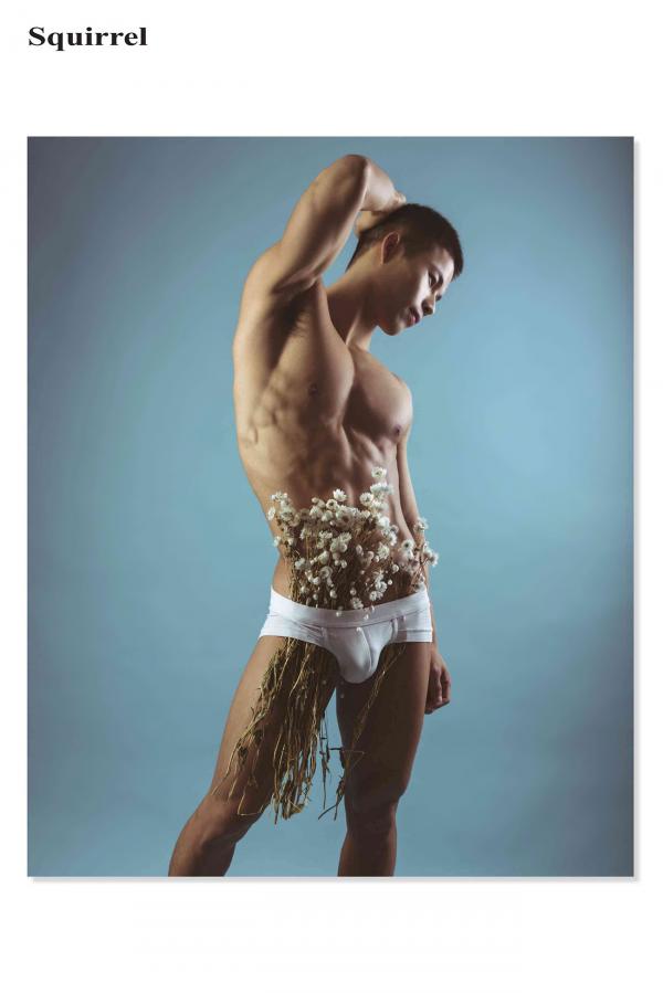 Squirrel-No.2--Young