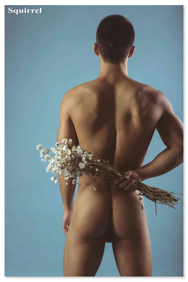 Squirrel-No.2--Young