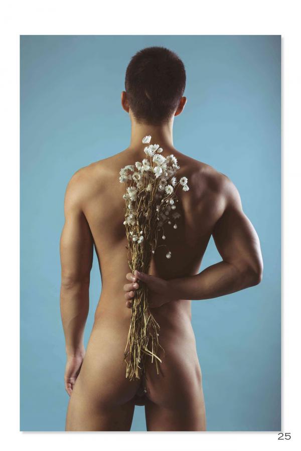 Squirrel-No.2--Young