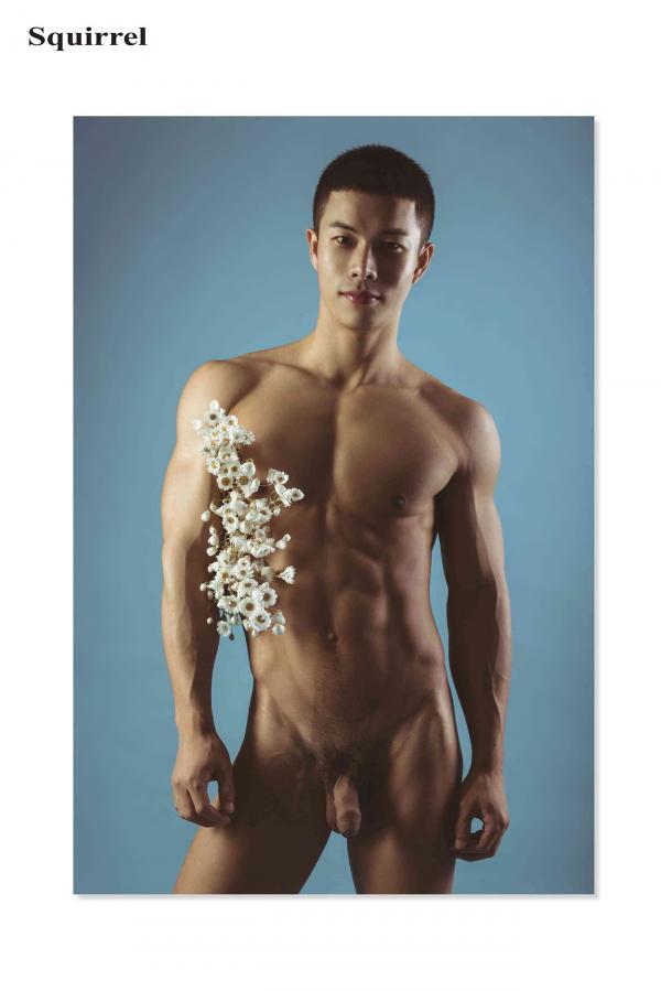 Squirrel-No.2--Young