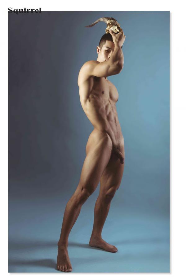 Squirrel-No.2--Young