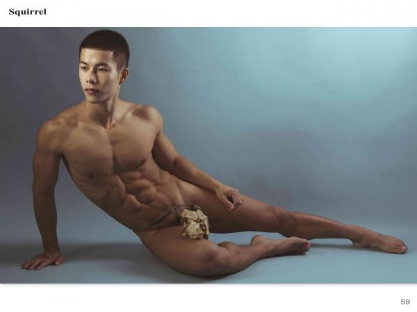 Squirrel-No.2--Young