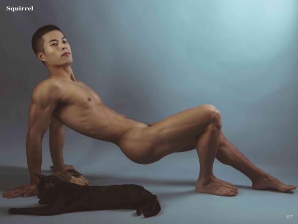 Squirrel-No.2--Young