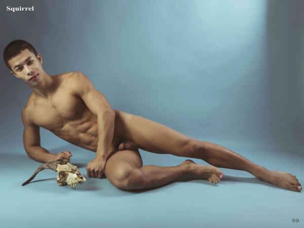 Squirrel-No.2--Young