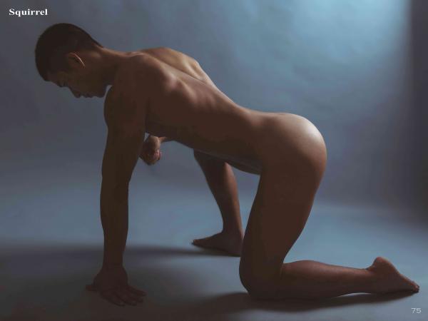 Squirrel-No.2--Young