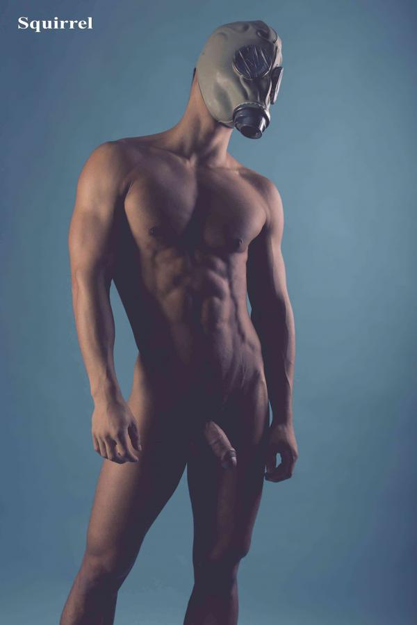 Squirrel-No.2--Young