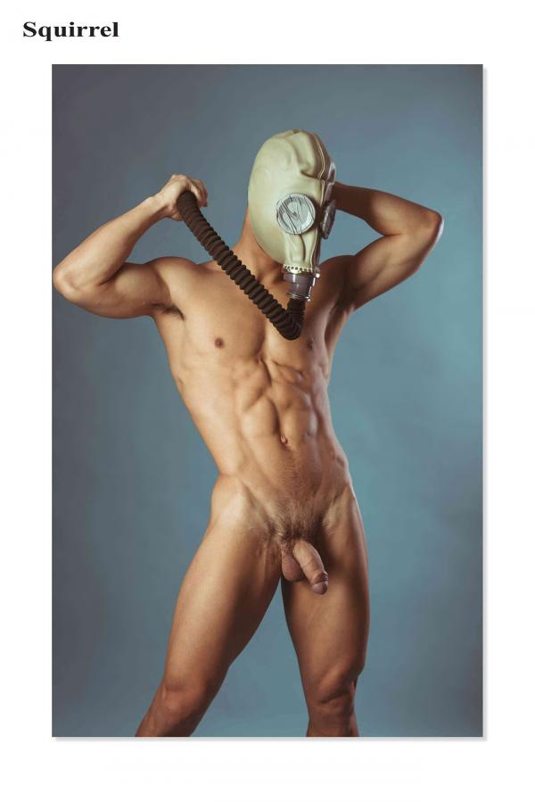 Squirrel-No.2--Young