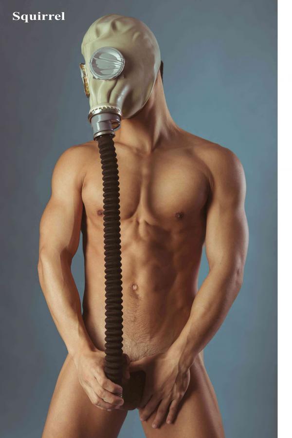 Squirrel-No.2--Young