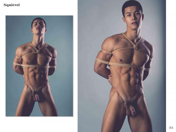 Squirrel-No.2--Young