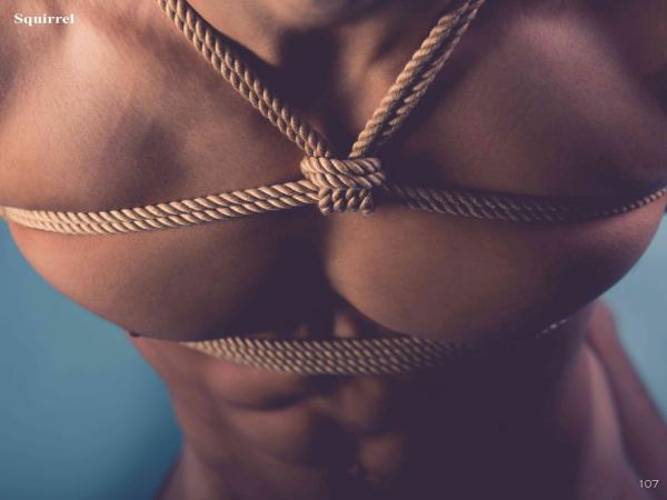 Squirrel-No.2--Young