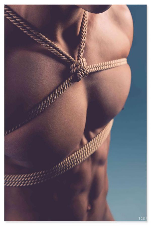 Squirrel-No.2--Young