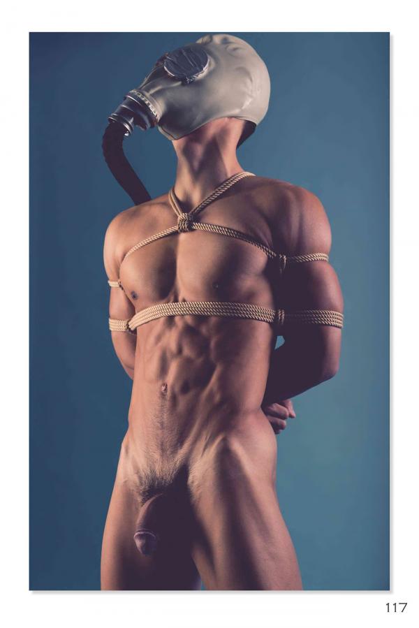 Squirrel-No.2--Young