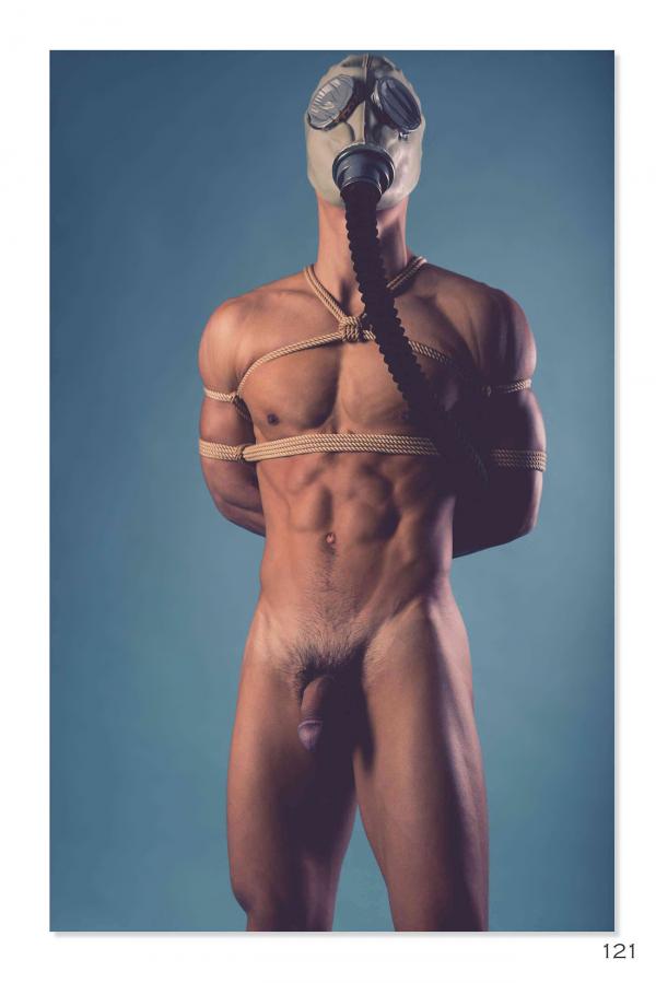 Squirrel-No.2--Young