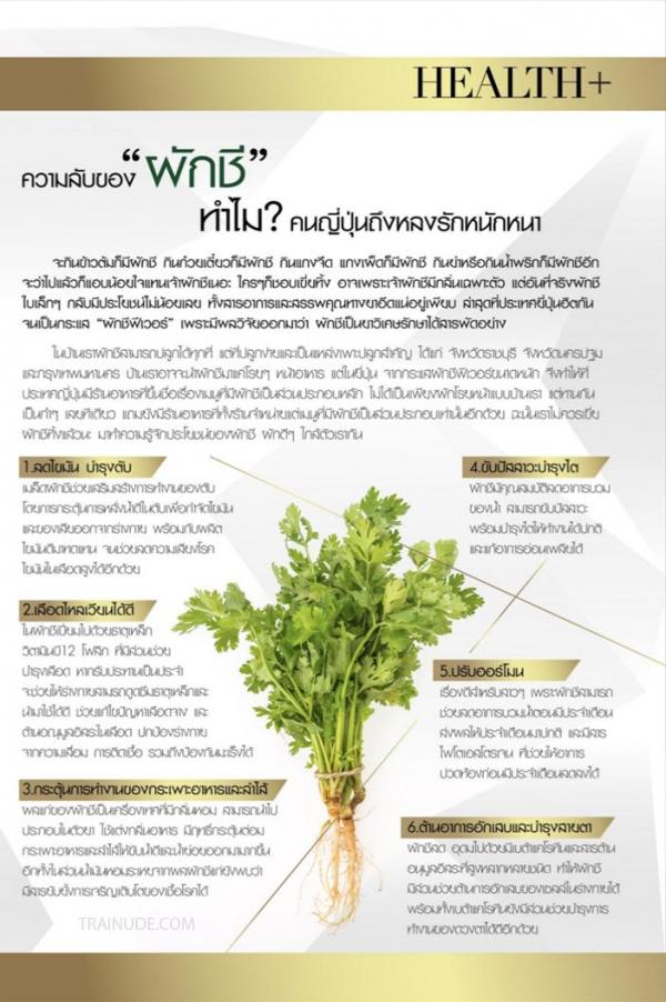 TXD-Magazine-Vol.5--Arthur-Awakening