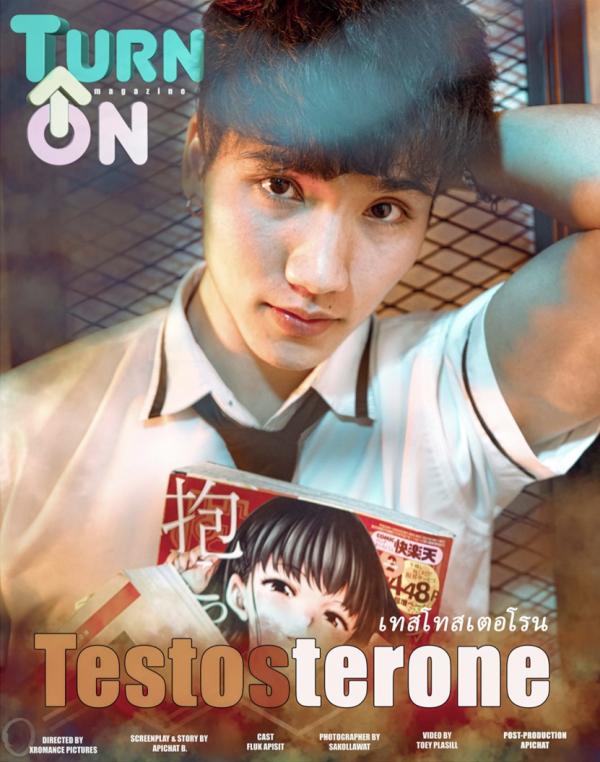 Testosterone-EbookVideo