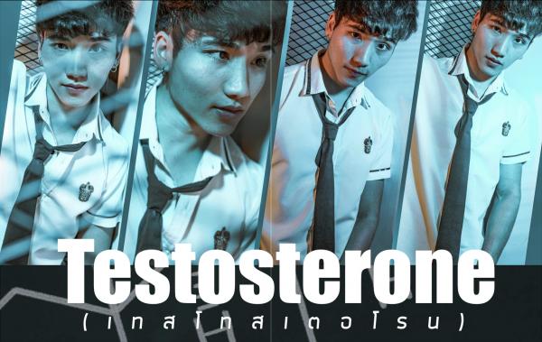 Testosterone-EbookVideo