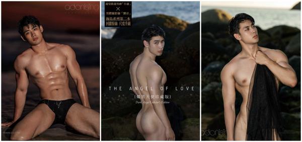 The-Angel-Of-Love--Dark-Angel-Version