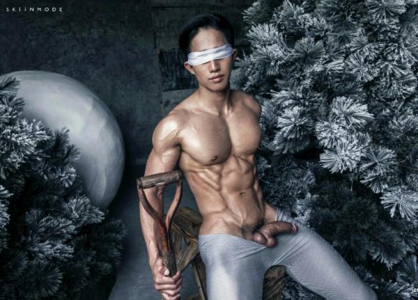 The-Pine-Forest--Special-Christmas-Collection