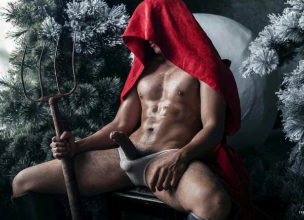 The-Pine-Forest--Special-Christmas-Collection