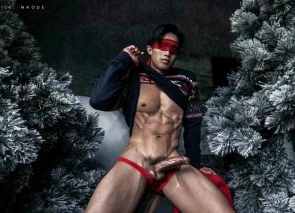 The-Pine-Forest--Special-Christmas-Collection