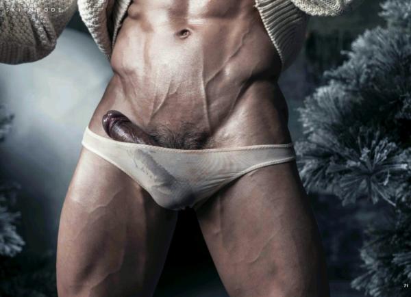 The-Pine-Forest--Special-Christmas-Collection