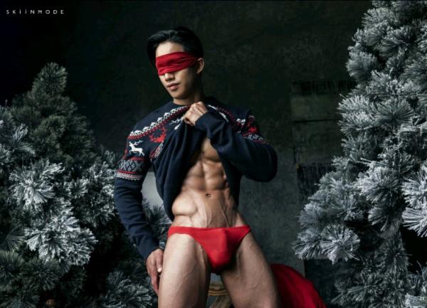 The-Pine-Forest--Special-Christmas-Collection