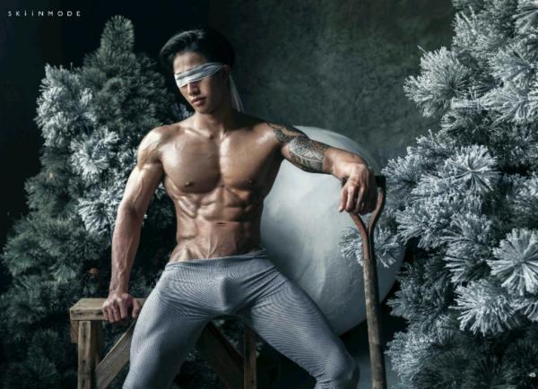 The-Pine-Forest--Special-Christmas-Collection