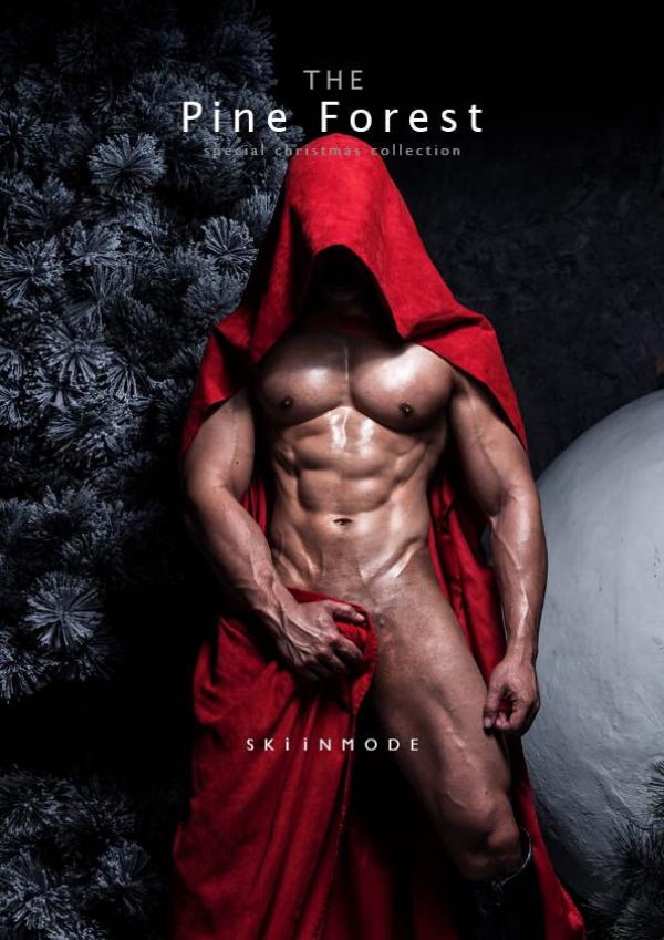 The-Pine-Forest--Special-Christmas-Collection