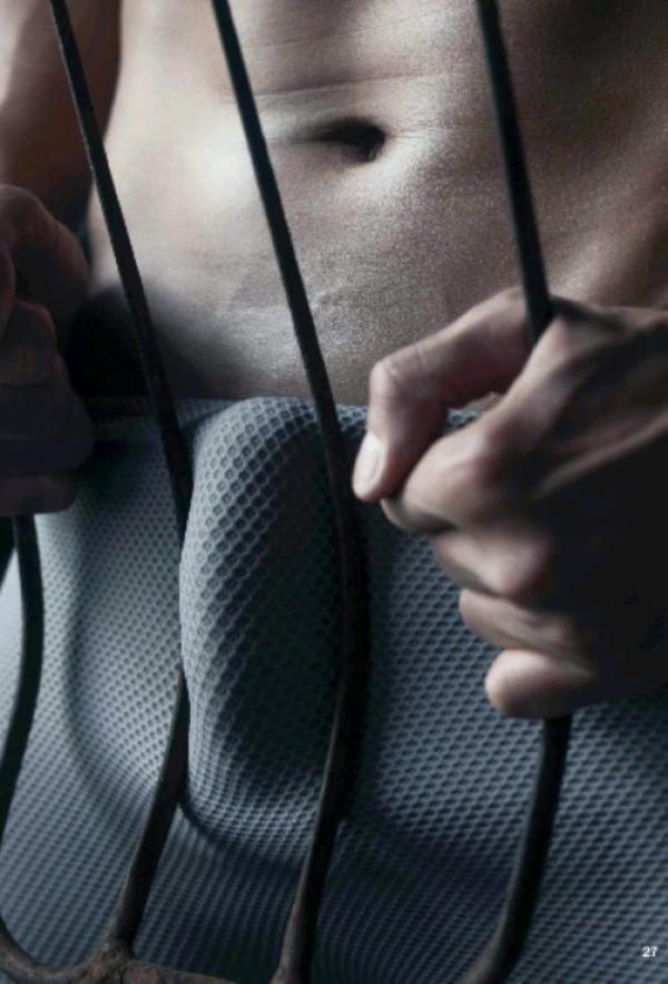 The-Pine-Forest--Special-Christmas-Collection