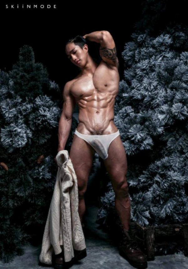 The-Pine-Forest--Special-Christmas-Collection