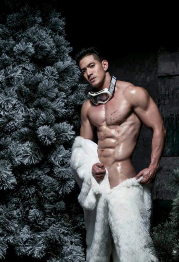 The-Pine-Forest--Special-Christmas-Collection