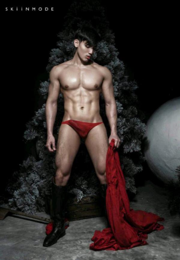 The-Pine-Forest--Special-Christmas-Collection