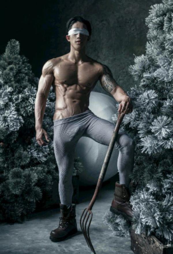 The-Pine-Forest--Special-Christmas-Collection