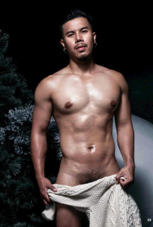 The-Pine-Forest--Special-Christmas-Collection