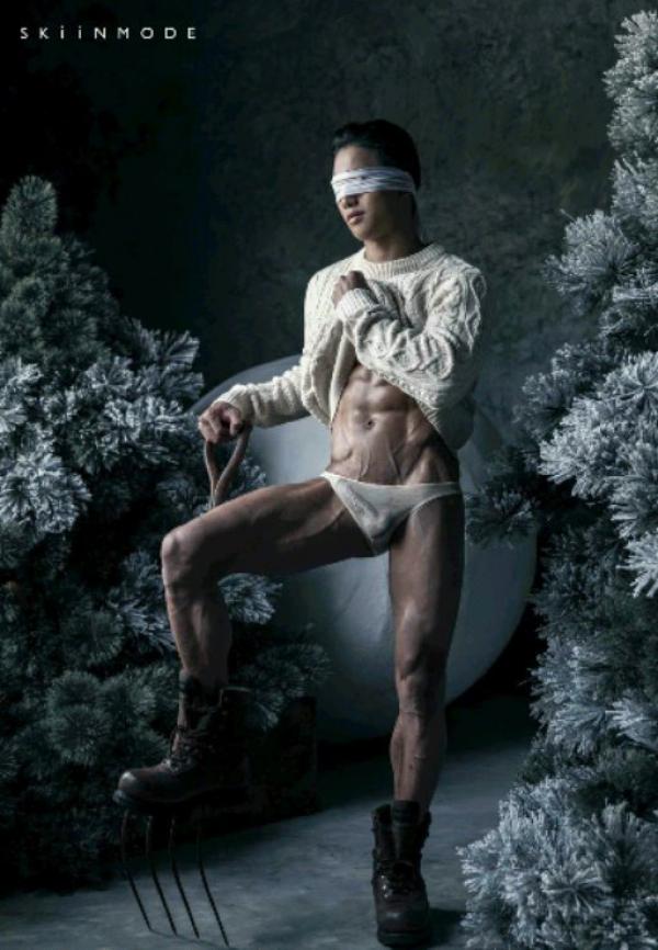 The-Pine-Forest--Special-Christmas-Collection