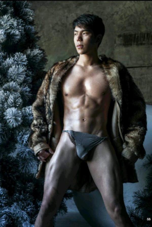 The-Pine-Forest--Special-Christmas-Collection