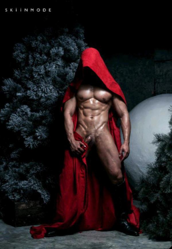 The-Pine-Forest--Special-Christmas-Collection