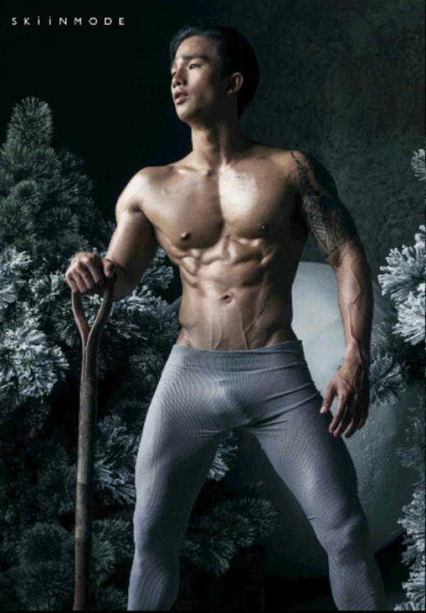 The-Pine-Forest--Special-Christmas-Collection