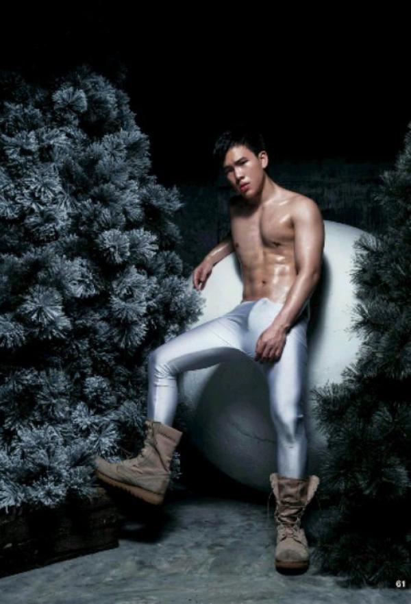 The-Pine-Forest--Special-Christmas-Collection