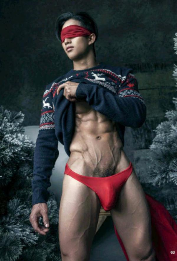 The-Pine-Forest--Special-Christmas-Collection