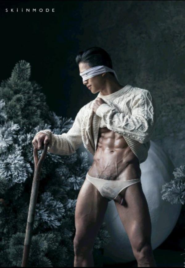 The-Pine-Forest--Special-Christmas-Collection