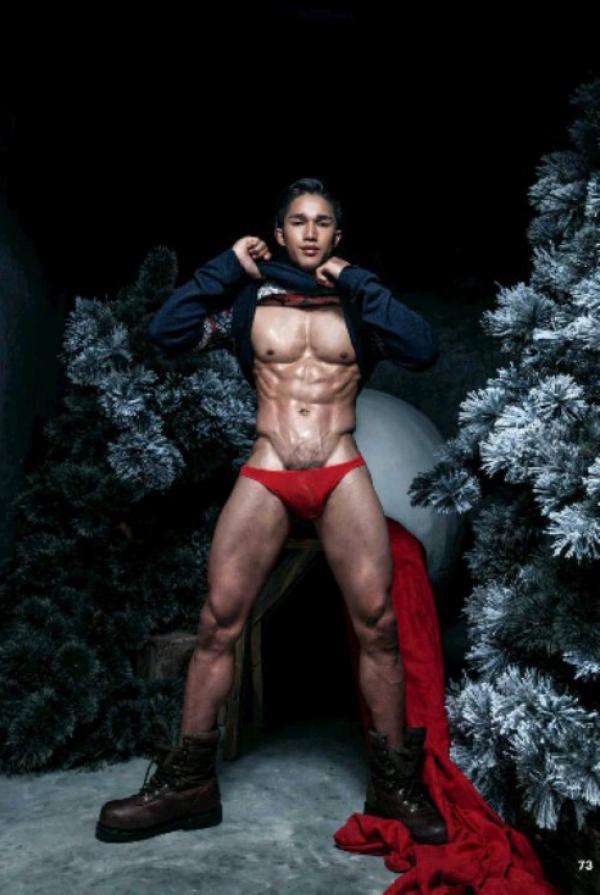 The-Pine-Forest--Special-Christmas-Collection