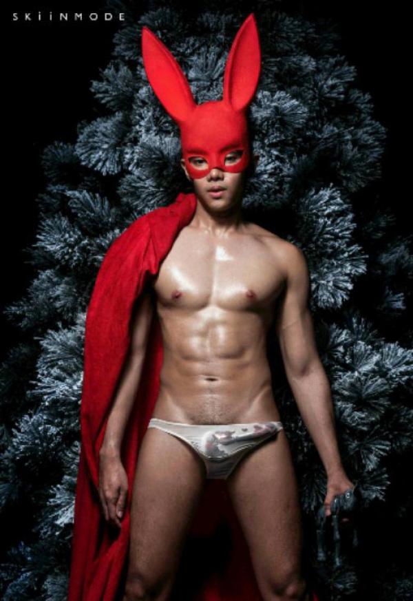 The-Pine-Forest--Special-Christmas-Collection